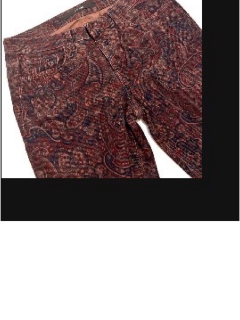 🎉HP🎉 NWOT Joe’s Paisley “The Skinny” Pants (Size 28)
